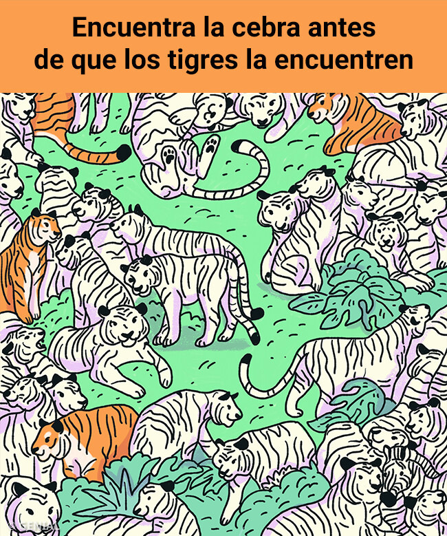 Desafía tu mente con 10 imágenes y lleva tu habilidad de observación al siguiente nivel