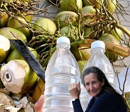 ¡No bebas agua de coco… hasta que conozcas estos datos importantes!