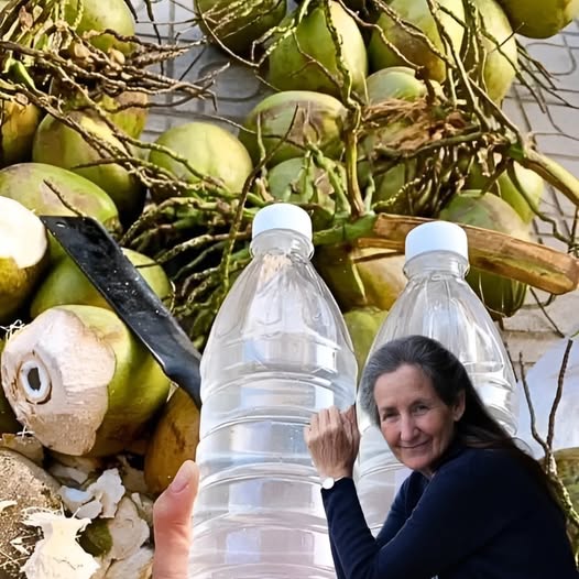 ¡No bebas agua de coco… hasta que conozcas estos datos importantes!