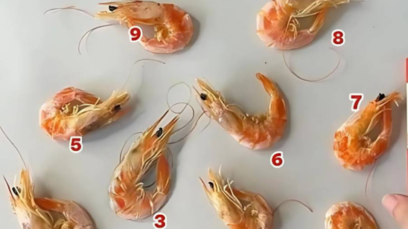 Aquí hay 1 camarón falso entre 9 camarones, ¿puedes encontrarlo en 10 segundos?