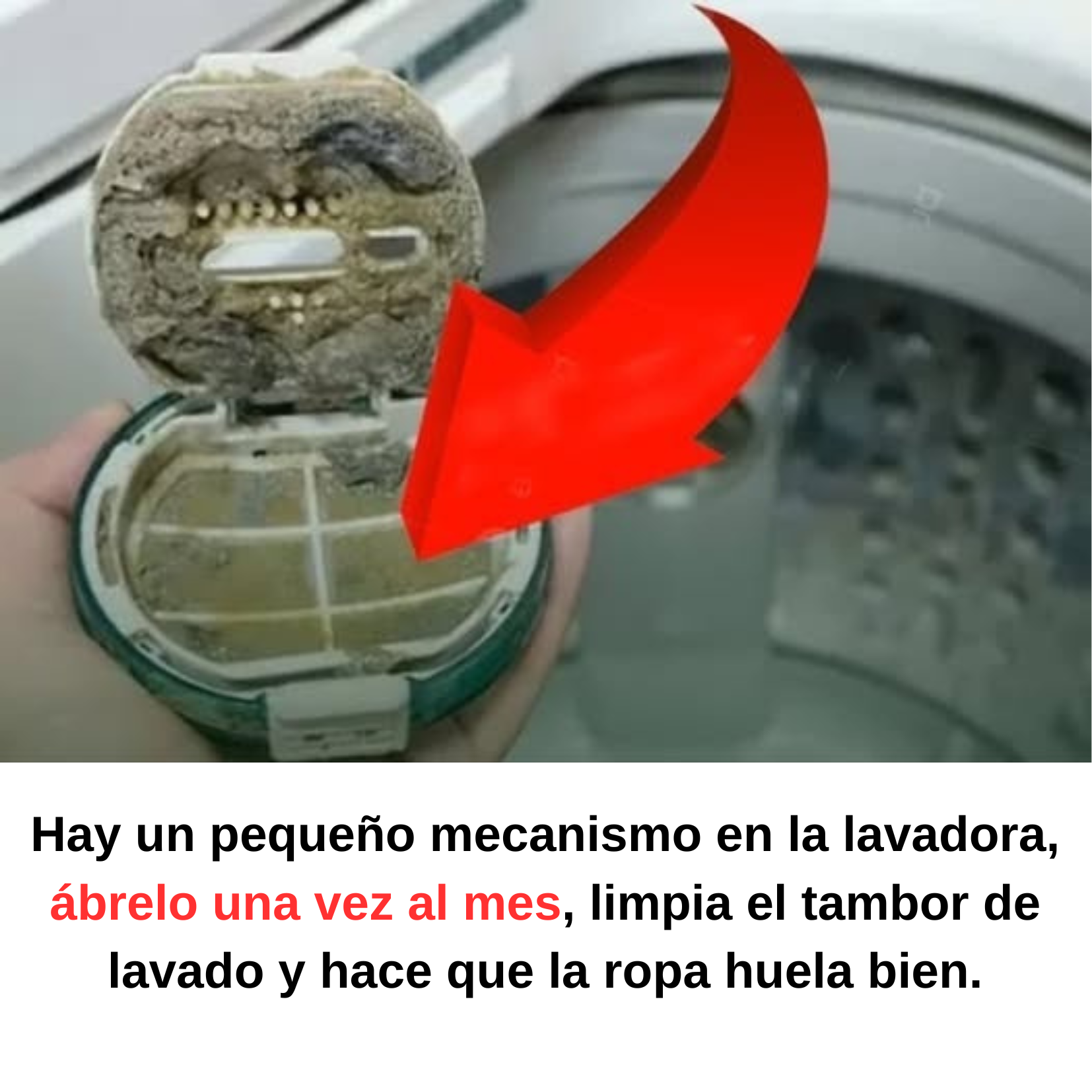 Hay un pequeño mecanismo en la lavadora, ábrelo una vez al mes, limpia el tambor de lavado y hace que la ropa huela bien.