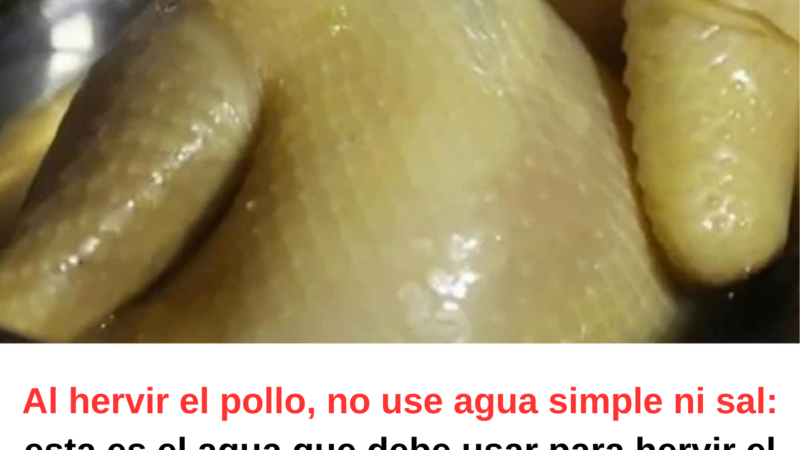 El agua utilizada para hervir el pollo ayuda a mantener la carne firme, dulce e intacta.