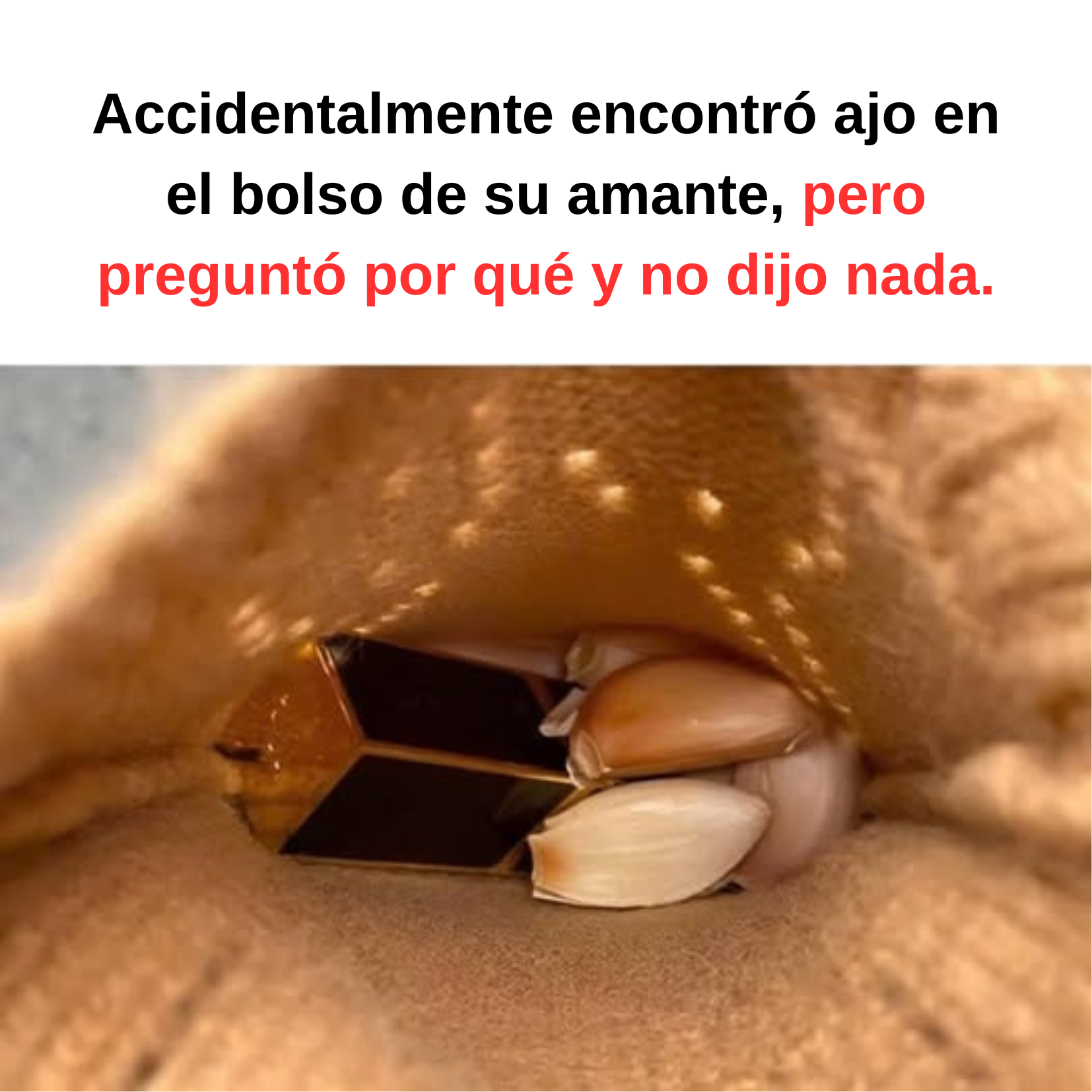 Accidentalmente encontró ajo en el bolso de su amante, pero preguntó por qué y no dijo nada.