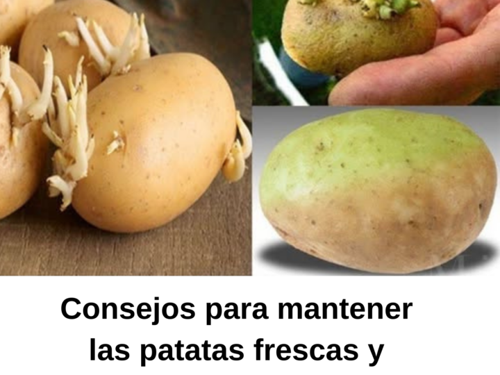 Consejos para mantener las patatas frescas y evitar que broten