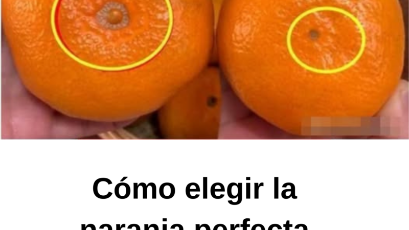 Cómo elegir la naranja perfecta mirando el ombligo