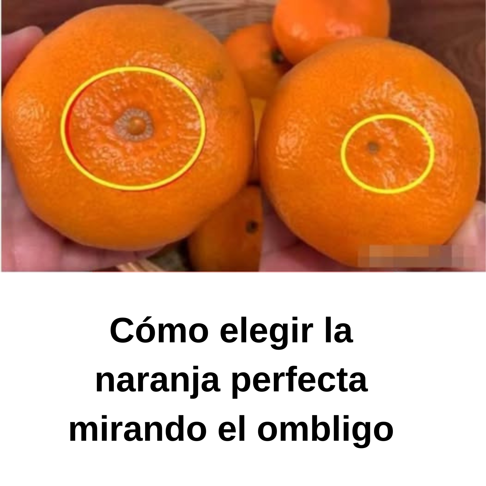 Cómo elegir la naranja perfecta mirando el ombligo