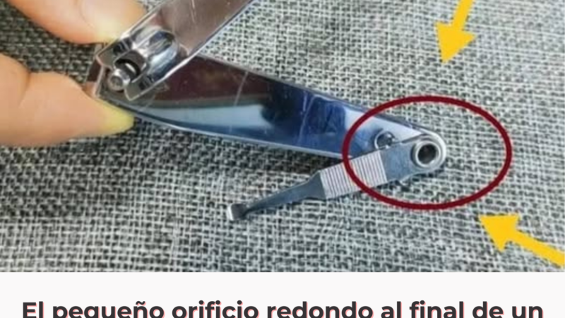 El pequeño orificio redondo al final de un cortaúñas tiene una función especial, utilizada durante años pero que mucha gente desconoce.