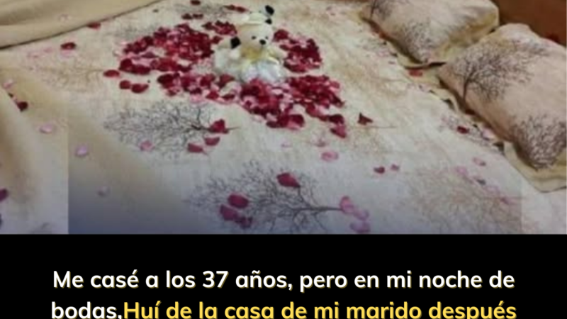 Me casé a los 37 años, pero en mi noche de bodas,  Huí de la casa de mi marido después de ver la cama: Más vale tarde que casarse con la persona equivocada