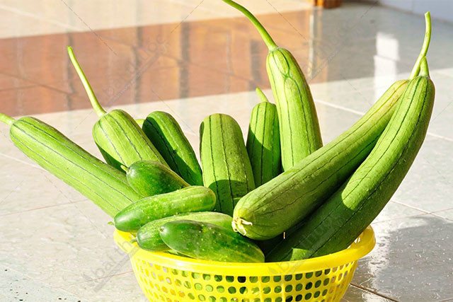 La luffa es muy nutritiva y se la conoce como “el ginseng de los pobres”. Sin embargo, no debe cocinarse con estas 3 cosas.